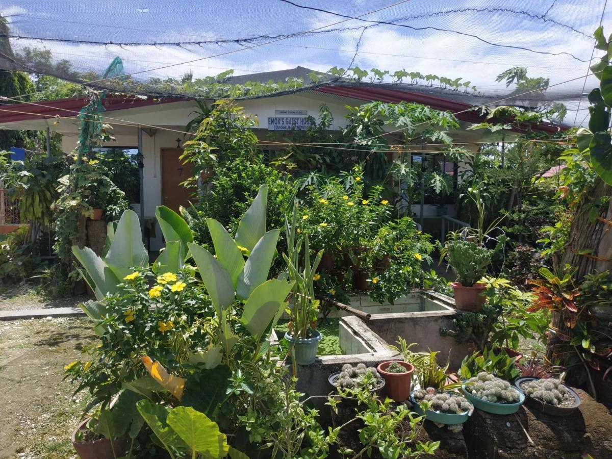 Emoks Guest House Moalboal Esterno foto